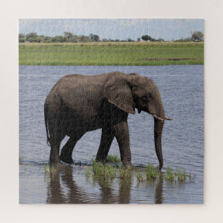 vredige olifant legpuzzel