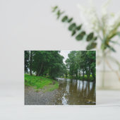 Vredige rivier Elwy Shores in St. Asaf Briefkaart (Staand voorkant)