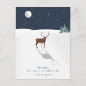 Vreedige Nacht Kerst Wonders Herten Sterren Marine Feestdagenkaart (Voorkant)