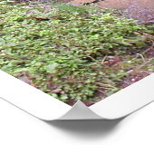 Vreedzaam 2 poster (Hoek)