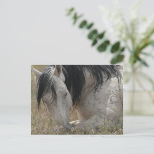 vreedzaam briefkaart (Staand voorkant)