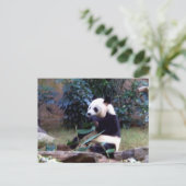 vreedzaam briefkaart (Staand voorkant)