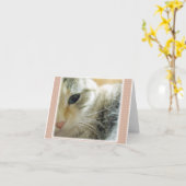 Vreedzaam Kat Blank Note Kaart (Gele Bloem)