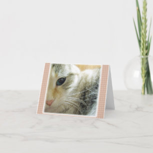 Vreedzaam Kat Blank Note Kaart