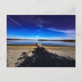 Vreedzaam Landschap met Drijfhout Blauwe Lucht Briefkaart