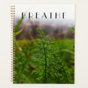 Vreedzaam lente groen weiland botanisch  planner