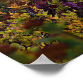 Vreedzaam meer levendige herfstkleuren landschap poster (Hoek)