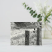 Vreedzaam moment briefkaart (Staand voorkant)