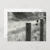 Vreedzaam moment briefkaart (Voorkant / Achterkant)