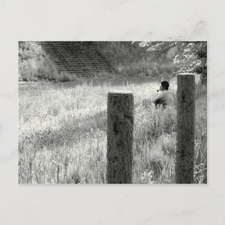 Vreedzaam moment briefkaart