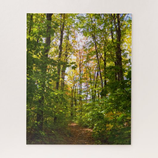 vreedzaam pad in het bos legpuzzel (Verticaal)
