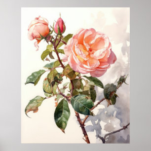 Vreedzaam Roos in de Waterverf van Bloom Poster
