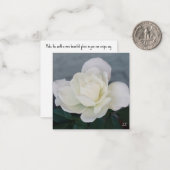 Vreedzaam Roos Notitiekaartje (Voorkant / Achterkant in situ)