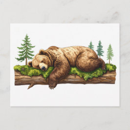 Vreedzaam slapen grizzly Beer bos illustratie Briefkaart