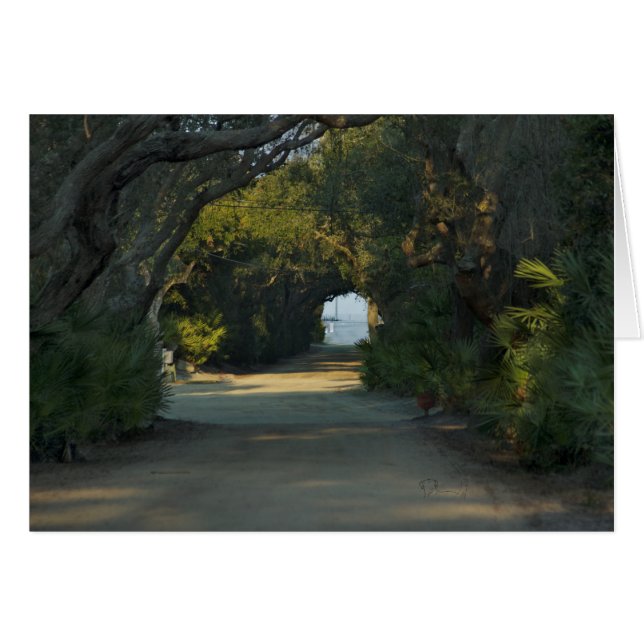 Vreedzaam spoor (Voorkant Horizontaal)