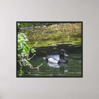 Vreedzaam vijverleven Canvasprint met spanframe Canvas Afdruk