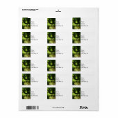 Vreedzame Adresetiketten op landtraject Etiket (Full Sheet)
