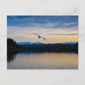 Vreedzame avond briefkaart (Voorkant)