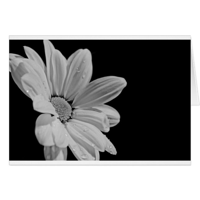 Vreedzame Bloemenpracht (Voorkant Horizontaal)