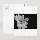 Vreedzame Bloemenpracht Briefkaart (Voorkant / Achterkant)