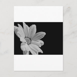 Vreedzame Bloemenpracht Briefkaart