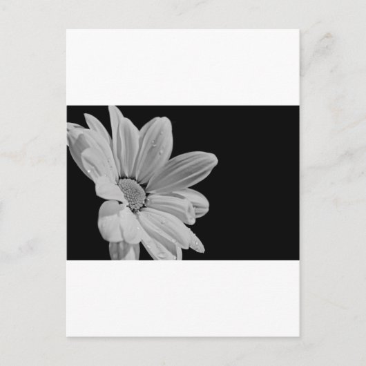 Vreedzame Bloemenpracht Briefkaart (Voorkant)