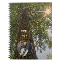 Vreedzame bos met gouden licht foto notitieboek