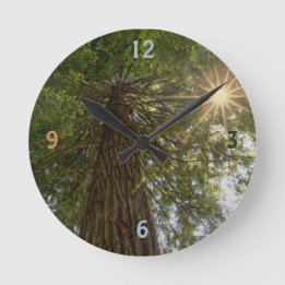 Vreedzame Bos Met Gouden Licht Natuur Foto Ronde Klok