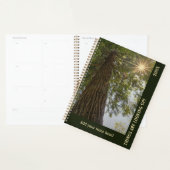 Vreedzame Bos met Gouden Licht Planner (Display)