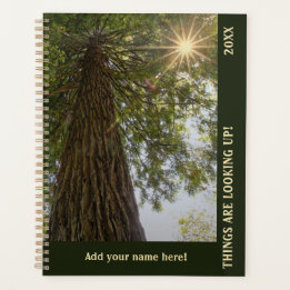Vreedzame Bos met Gouden Licht Planner