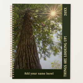 Vreedzame Bos met Gouden Licht Planner