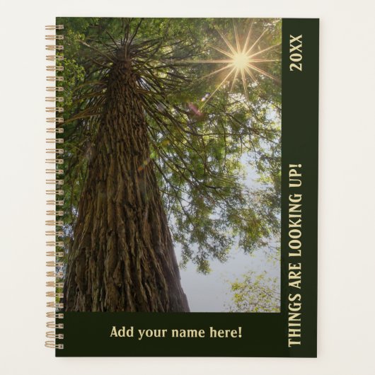 Vreedzame Bos met Gouden Licht Planner (Voorkant)