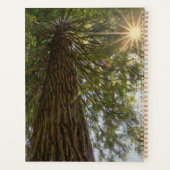 Vreedzame Bos met Gouden Licht Planner (Achterkant)