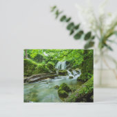 Vreedzame Bos Waterval Foto Briefkaart (Staand voorkant)