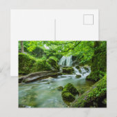 Vreedzame Bos Waterval Foto Briefkaart (Voorkant / Achterkant)