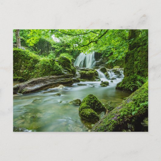 Vreedzame Bos Waterval Foto Briefkaart (Voorkant)