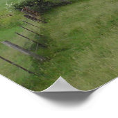 Vreedzame dag in Wisconsin Koe Fotografie Poster (Hoek)