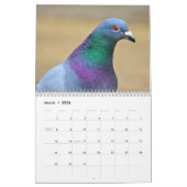 Vreedzame duiven en elegante duiven Natuur geïnspi Kalender (Mar 2026)