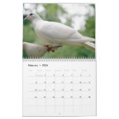 Vreedzame duiven en elegante duiven Natuur geïnspi Kalender (Feb 2026)