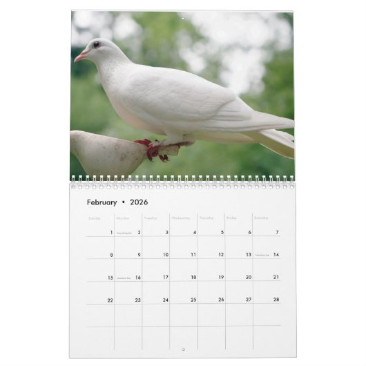 Vreedzame duiven en elegante duiven Natuur geïnspi Kalender (Feb 2026)