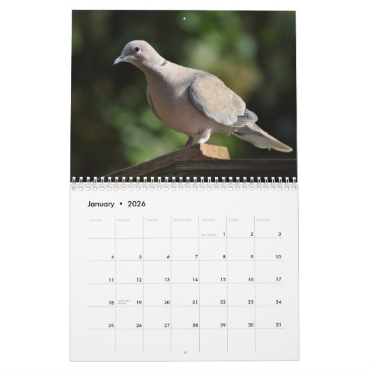 Vreedzame duiven en elegante duiven Natuur geïnspi Kalender (Jan 2026)