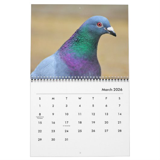 Vreedzame duiven en elegante duiven Natuur geïnspi Kalender (Mar 2026)