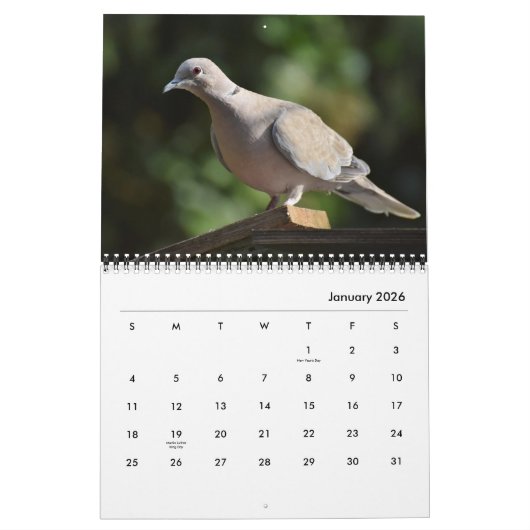 Vreedzame duiven en elegante duiven Natuur geïnspi Kalender (Jan 2026)