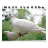 Vreedzame duiven en elegante duiven Natuur geïnspi Kalender (Hoes)