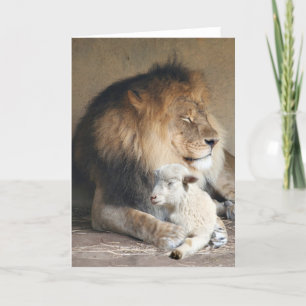 Vreedzame feestdagen