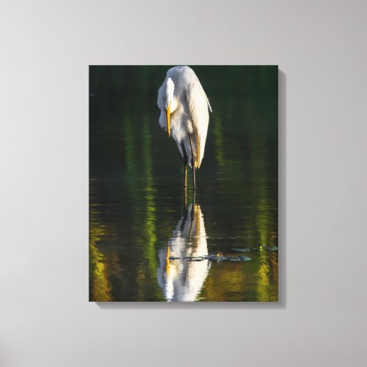 Vreedzame Grote Witte Greet met Reflectie Canvas Afdruk (Voorkant)