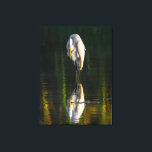 Vreedzame Grote Witte Greet met Reflectie Canvas Afdruk<br><div class="desc">Een mooie foto van de grote witte zilverreiger met zijn reflectie. Het afbeelding werd ingenomen door Ian Wickison en alle rechten zijn voorbehouden. Ardea Alba is zijn Latijnse naam en ze zijn een vogel die wijdverspreid is. Dit afbeelding is in Brazilië genomen. De vogel is ontspannen en lijkt zijn eigen...</div>