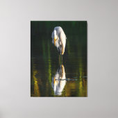Vreedzame Grote Witte Greet met Reflectie Canvas Afdruk (Voorkant)