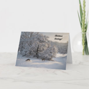 Vreedzame herten in een besneeuwde weide Kerstkaar Kaart