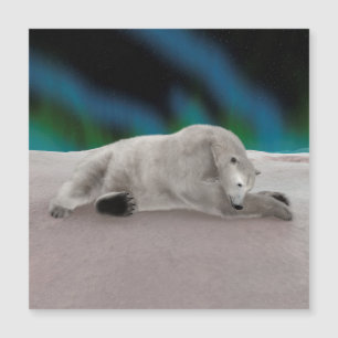 Vreedzame IJsbeer Arctische Natuur Illustratie